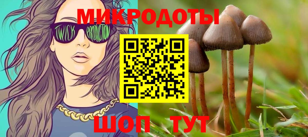 купить закладку  Вход с VPN  Электрогорск  Псилоцибиновые грибы прущие грибы 